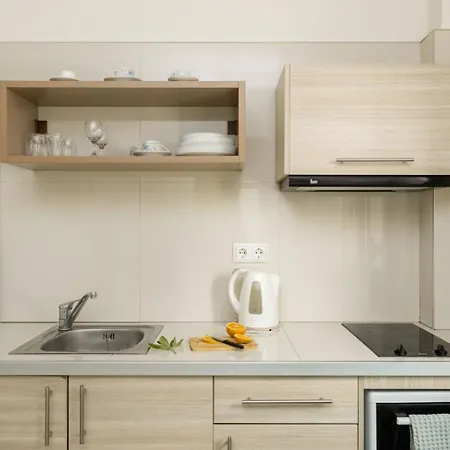 Theoxenia Gasthuis 4*